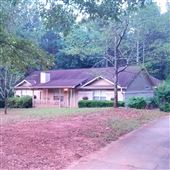 Home in the Woods