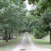Parks Property