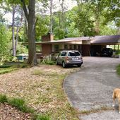 Mid century modern in the forest