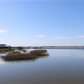 Jekyll Island Survey