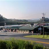 Mercier Orchards