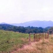 Clayton Mountain Roads