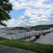 Lake Blue Ridge Marina