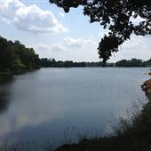 Crows Lake - Jefferson, GA