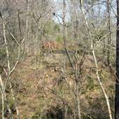 Clay County Forest