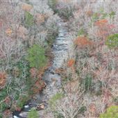 30 Acres with Wooded and Open Terrain, Waterfall