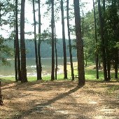 Holliday Park