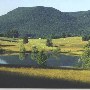 McLemore Cove