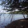 Pine Acres Retreat