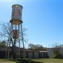 Palmetto Cotton Mill