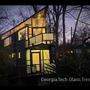 Glass Tree house in Midtown
