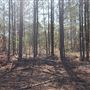 Newton County Vacant 48 Acre Property