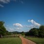 Whimsy Hill Farm
