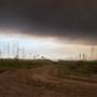 Fargo Burned Forest