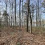 70 acre Lakefront with Rock Quarry