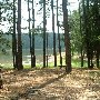 Holliday Park