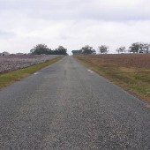 Calhoun Road