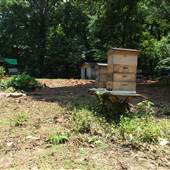 Lakewood Environmental Arts Foundation