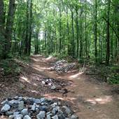 Tribble Mill Park