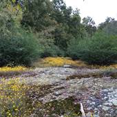Blackwell Land