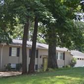 Saddle Mountain Neighborhood