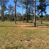 The Farm/Griffin GA