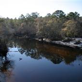 Berrien Beach--Alapaha River