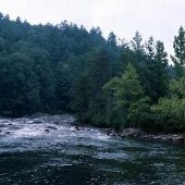 Chattooga River