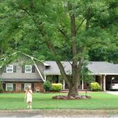 Samaria Trail Home and Yard