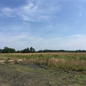 Train Tracks/Land Near Plant Branch (#2)