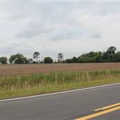 55 Open Land