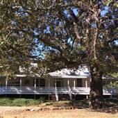 1901 home