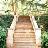Cator Woolford Gardens