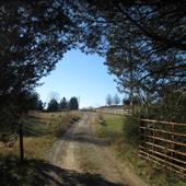 Healing Path Farm