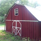 Fruit Tree Orchard with Large Red Barn