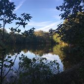 Sappington Farm