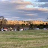 Pfister Farm Cabin