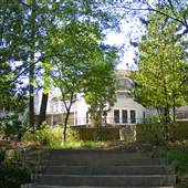 Vines Garden