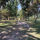 Eureka Farm
