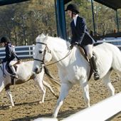 Wills Park Equestrian Center