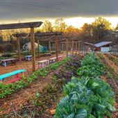 Old Rucker Farm & Park