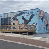 Social Fox Brewery