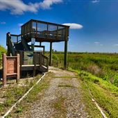 Altamaha Wildlife Management Area