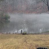 Backyard pond and woods