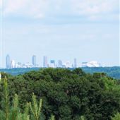 Basking Ridge, Skyline Views (from Cobb)