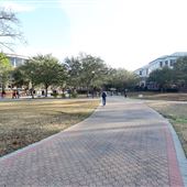 Georgia Southern University