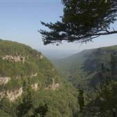 Cloudland Canyon State Park