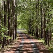 Bishop Creek / Armuchee Creek Property
