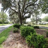 Historic North Court Street