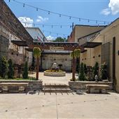 Walker Street Garden and Courtyard